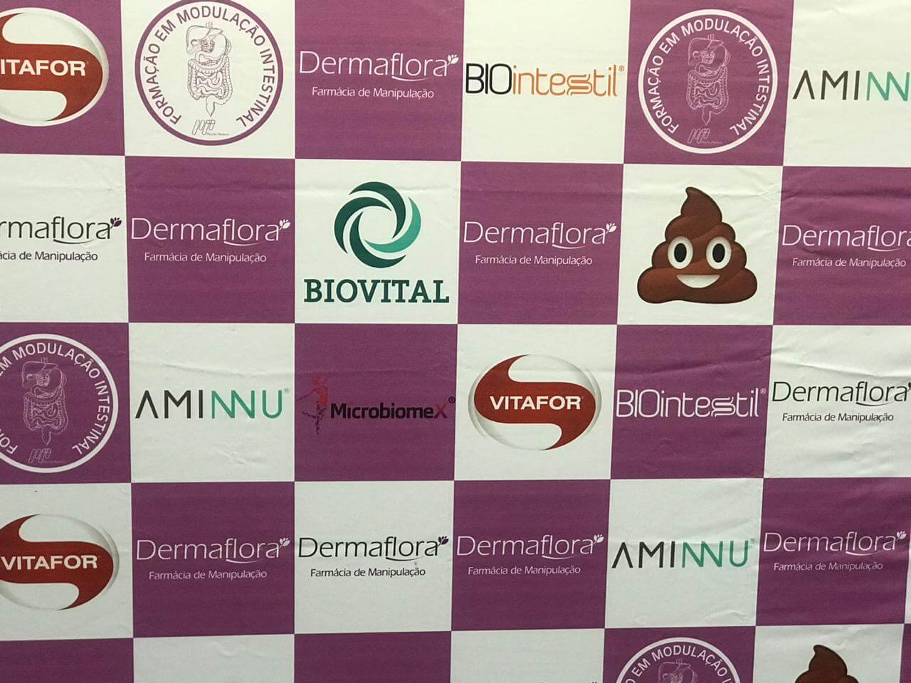 Plateia acompanhando o curso Modulação Intestinal, Março de 2019
