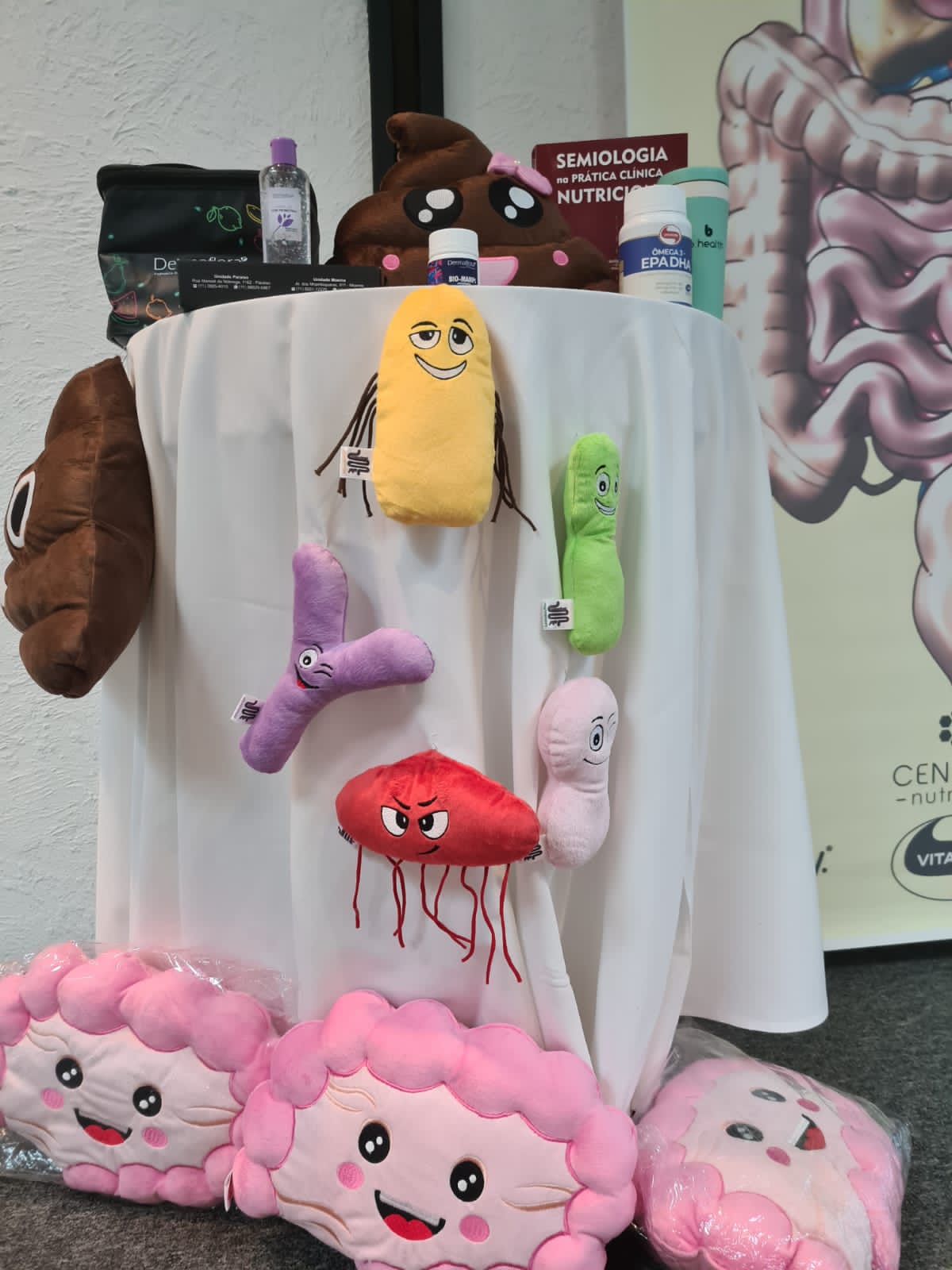 Momento da apresentação do curso Modulação Intestinal